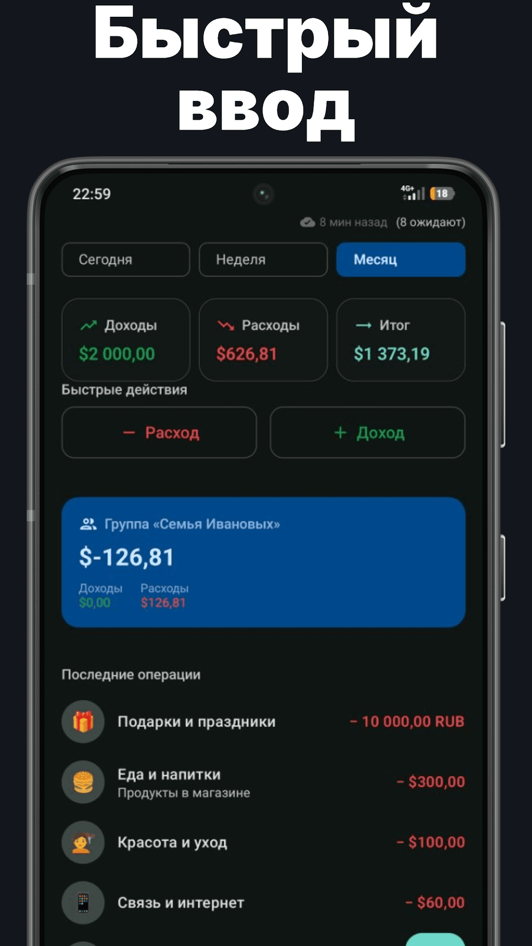 Quick entry — balance and one-tap income/expense